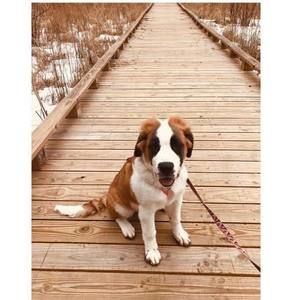 Meet your Posher, Kaitlyn